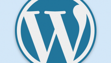 wp-blue-520