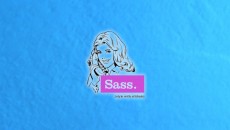 Sass_Limitations_Header