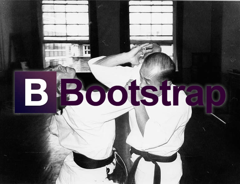 Boostrap3_header