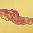 bacon_header