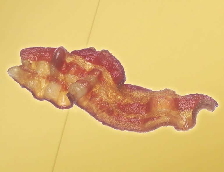 bacon_header