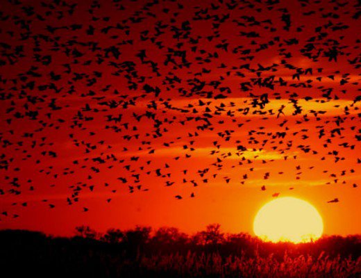 ambient-light-header