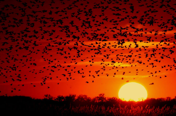ambient-light-header